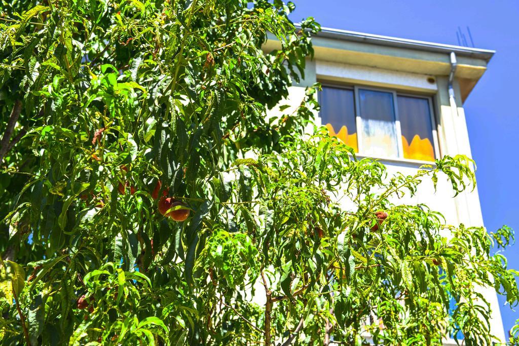 Pemaj Hostel Shkodra Exterior foto